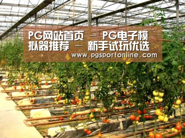 种植基地二