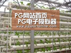 环境展示六